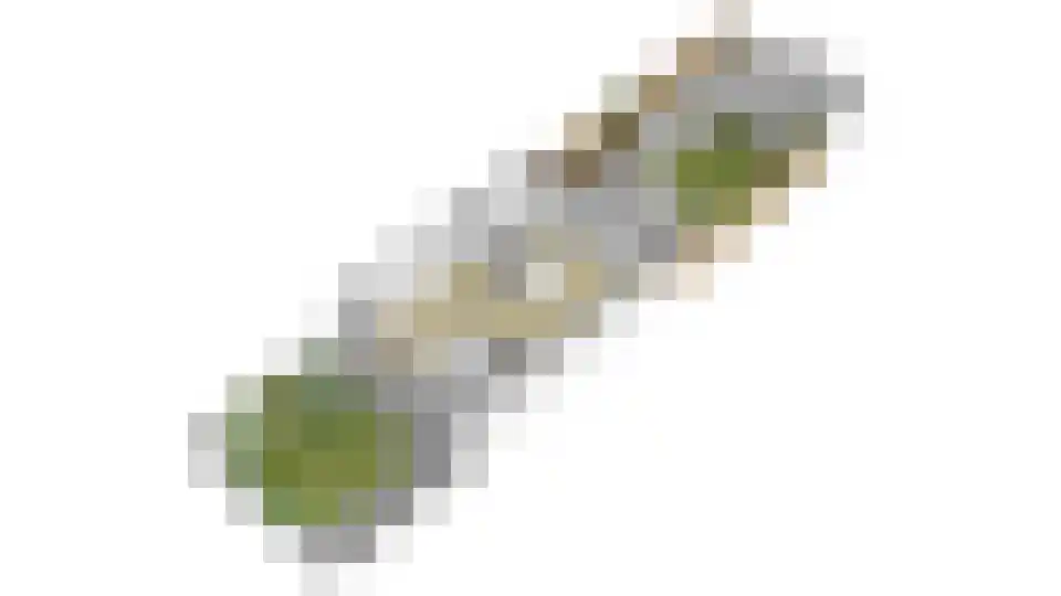 Oldenhof 66 Driel thumbnail 70