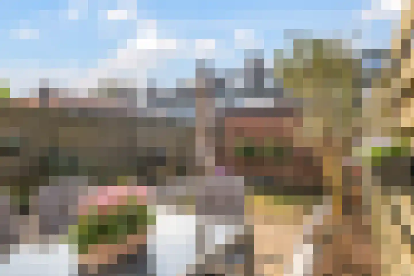 Oldenhof 66 Driel thumbnail 76