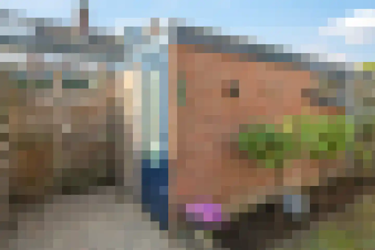 Oldenhof 66 Driel thumbnail 80