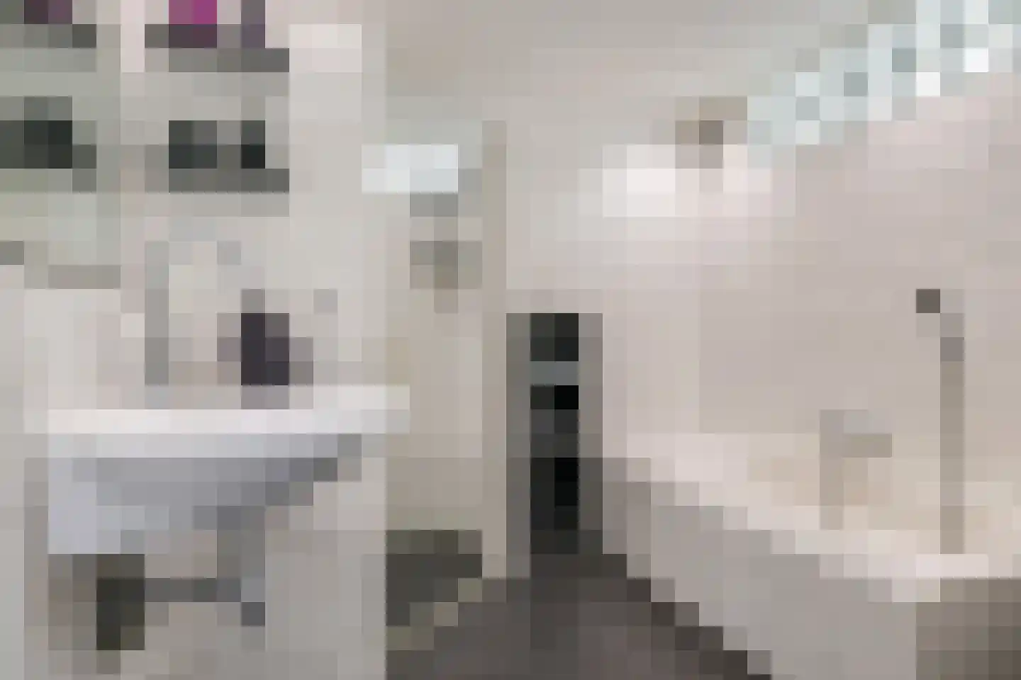 Oldenhof 66 Driel thumbnail 9