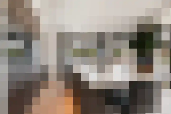 Oldenhof 7 Markelo thumbnail 14