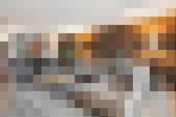 Oldenhof 7 Markelo thumbnail 20