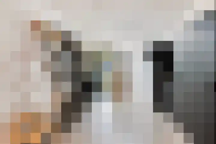 Oldenhof 7 Markelo thumbnail 26