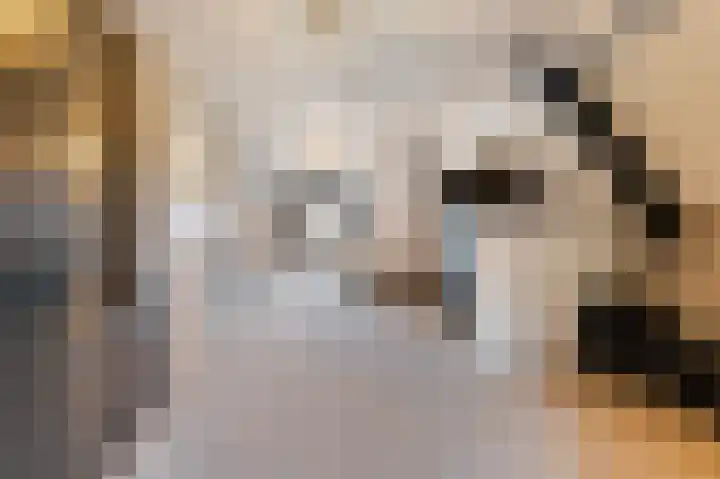 Oldenhof 7 Markelo thumbnail 33