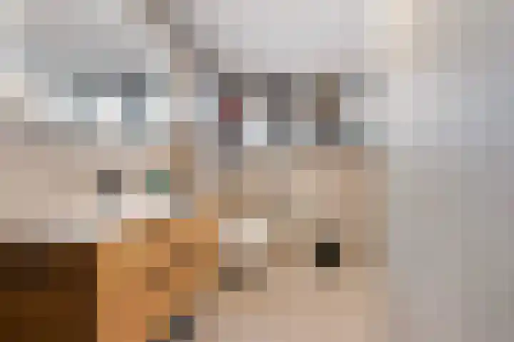 Oldenhof 7 Markelo thumbnail 34