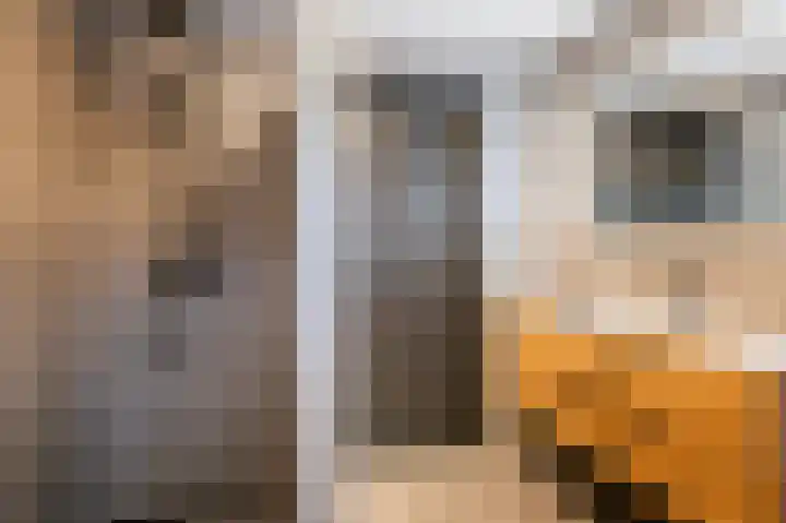 Oldenhof 7 Markelo thumbnail 35