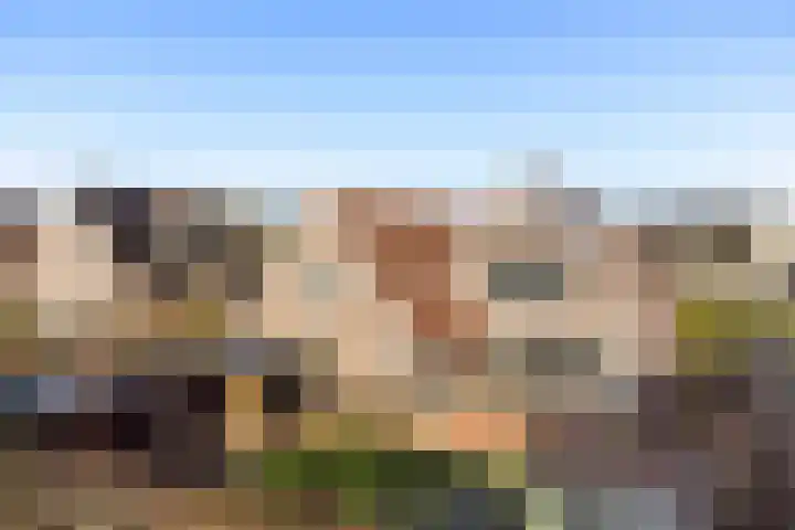 Oldenhof 7 Markelo thumbnail 38