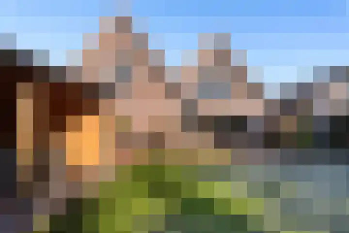 Oldenhof 7 Markelo thumbnail 4