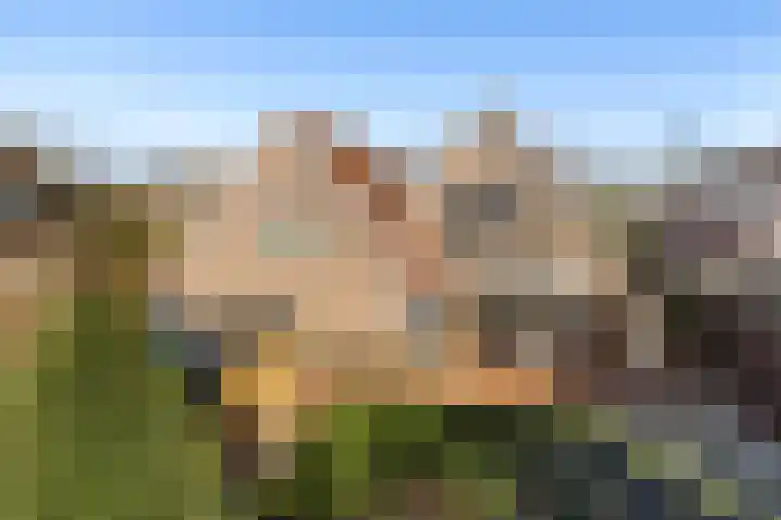 Oldenhof 7 Markelo thumbnail 40