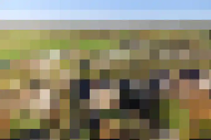 Oldenhof 7 Markelo thumbnail 41