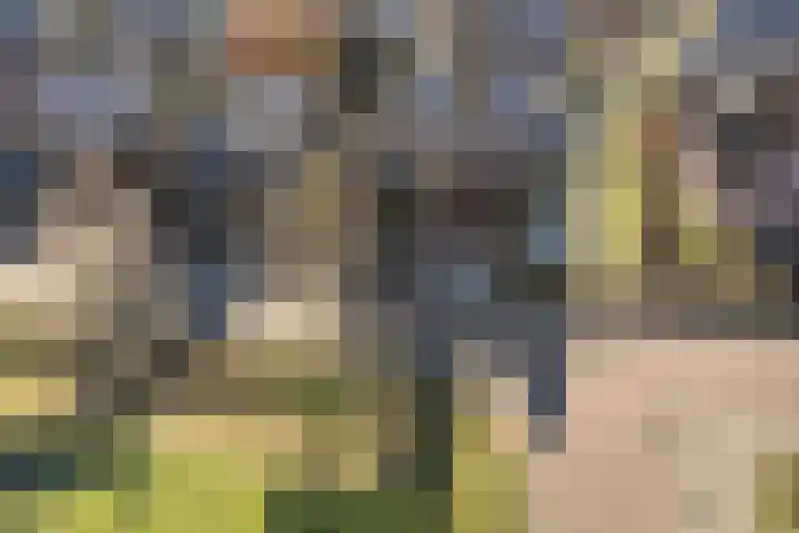 Oldenhof 7 Markelo thumbnail 42