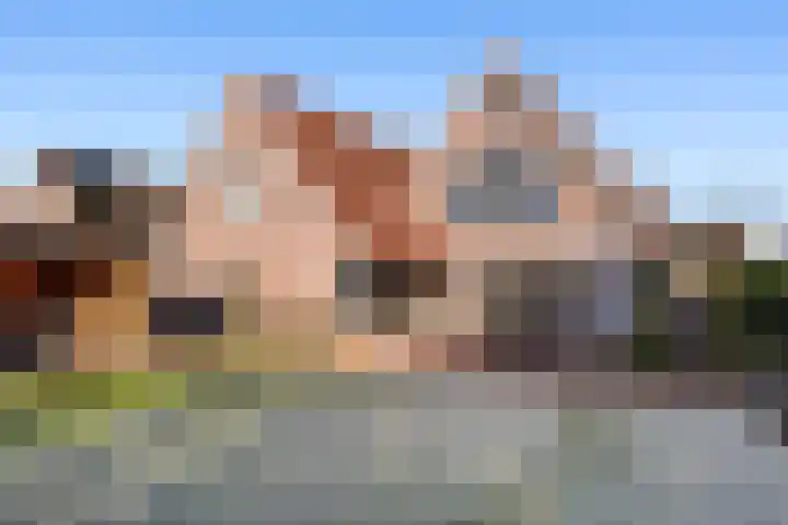 Oldenhof 7 Markelo thumbnail 5