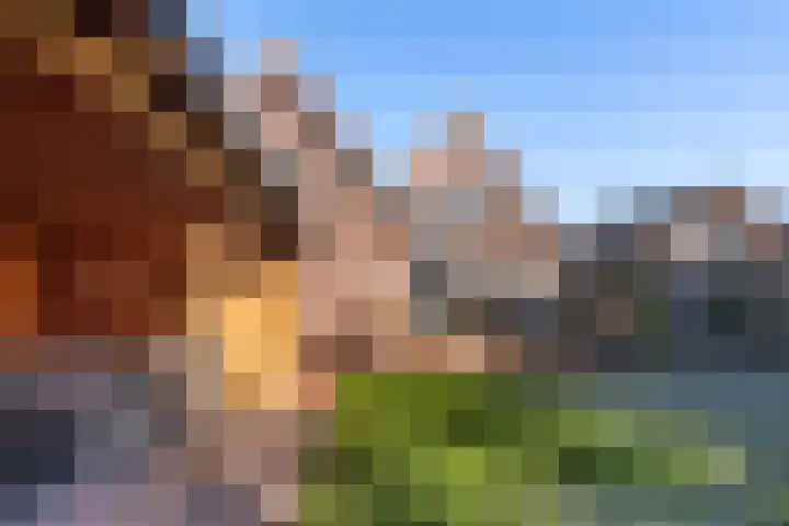 Oldenhof 7 Markelo thumbnail 6