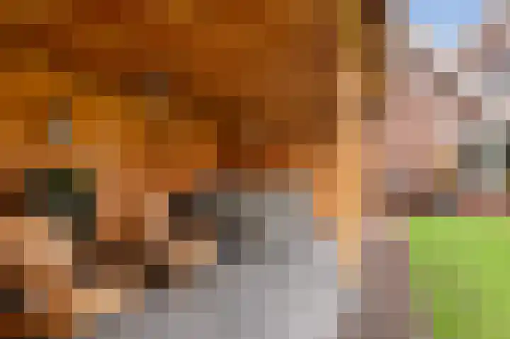 Oldenhof 7 Markelo thumbnail 9