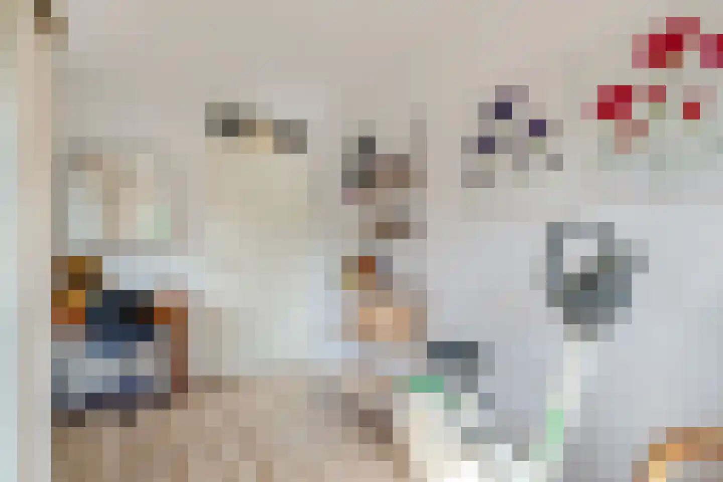 Oldenhof 9 de Wijk thumbnail 28