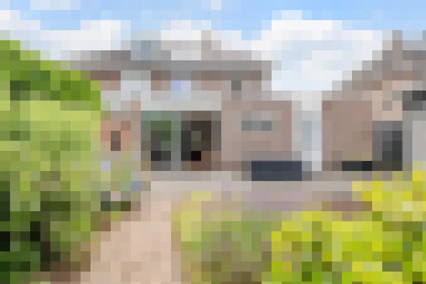 Oldenhof 9 de Wijk thumbnail 41