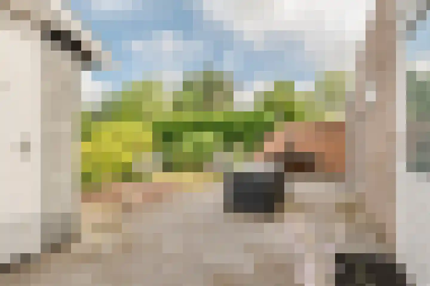 Oldenhof 9 de Wijk thumbnail 42