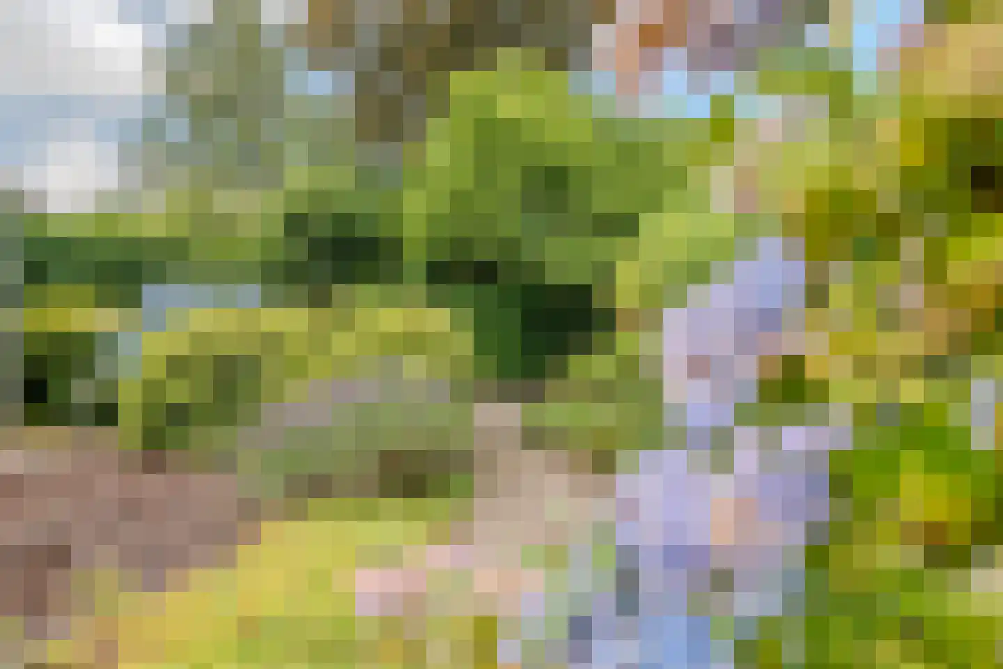 Oldenhof 9 de Wijk thumbnail 44