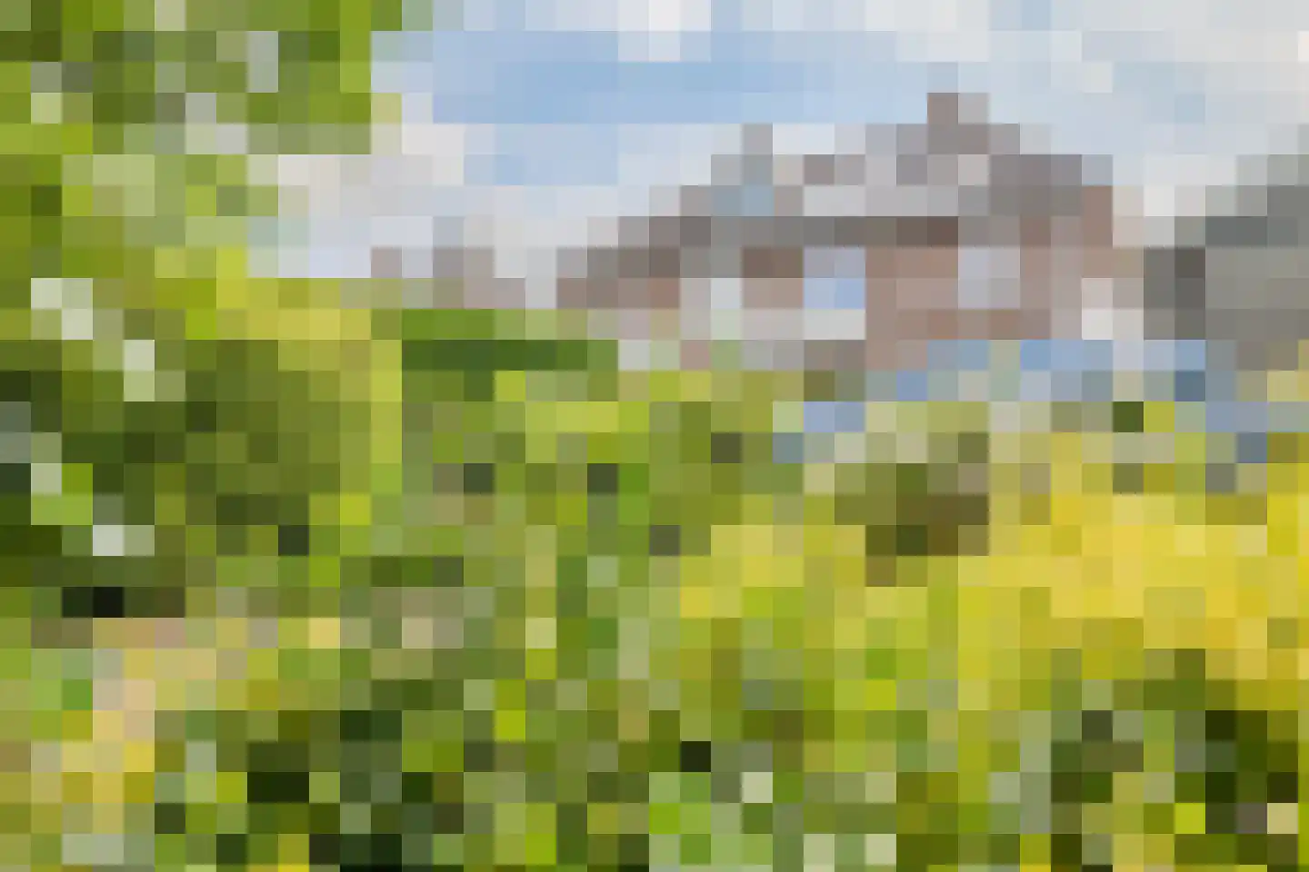Oldenhof 9 de Wijk thumbnail 45