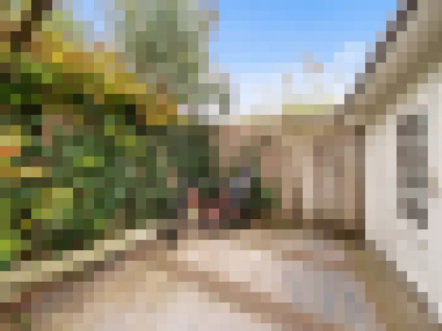 Oldenhoff 27 Abcoude thumbnail 14