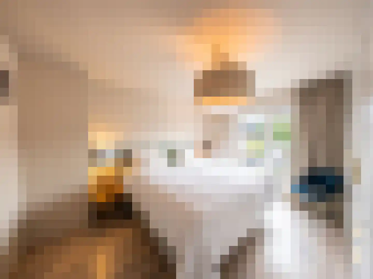 Oldenhoff 27 Abcoude thumbnail 18