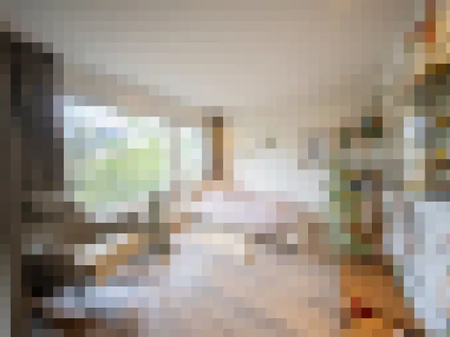 Oldenhoff 27 Abcoude thumbnail 24