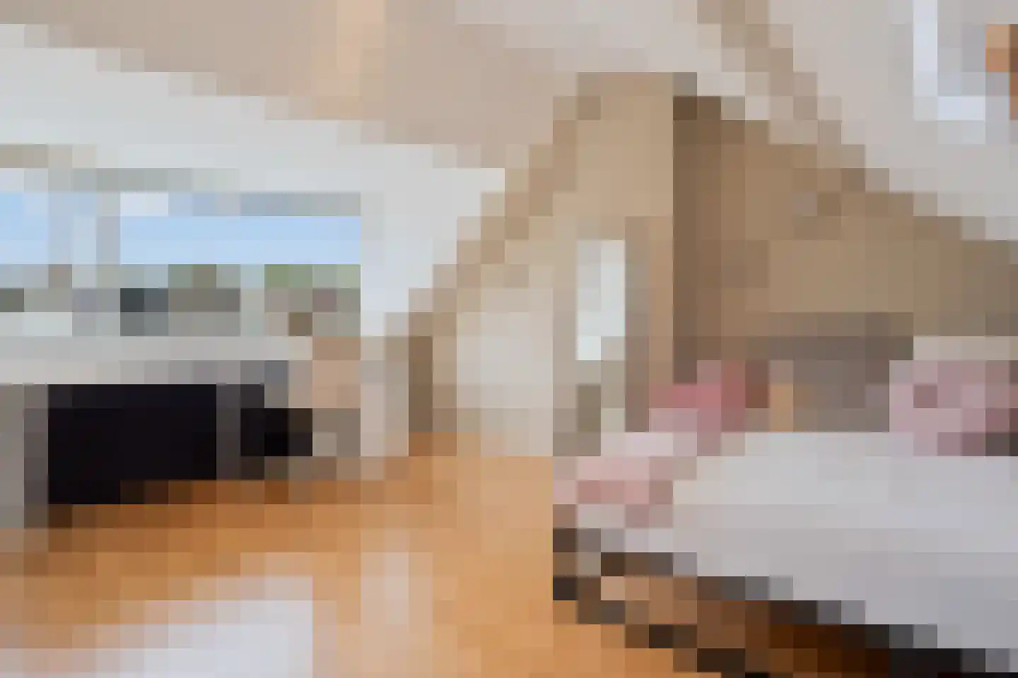 Oldenhoff 37 Abcoude thumbnail 25