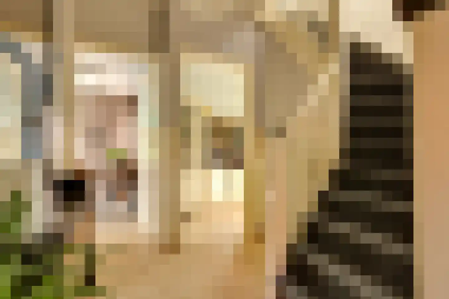 Oldenhofstraat 31 Assen thumbnail 18