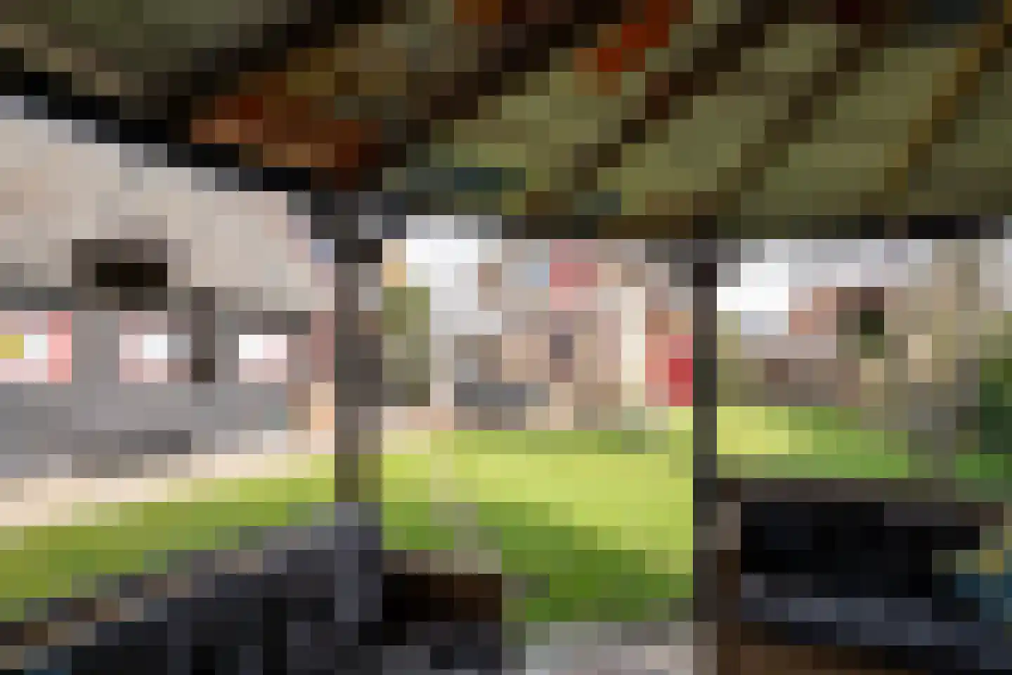 Oldenhofstraat 31 Assen thumbnail 32