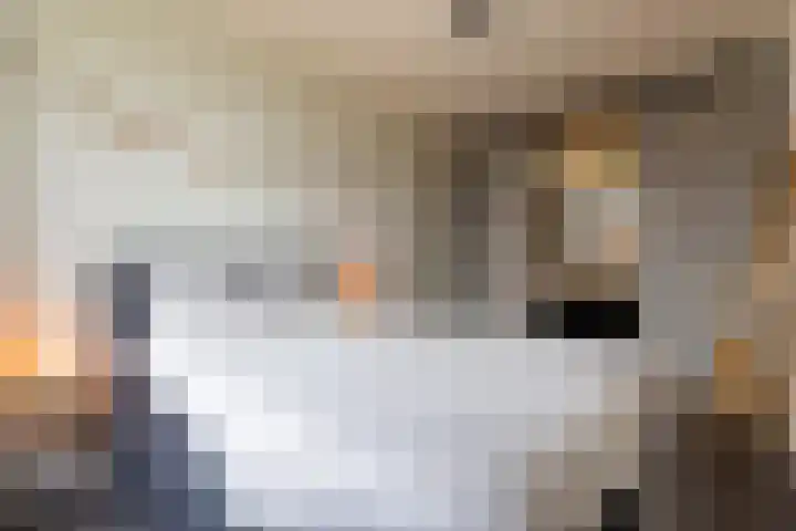 Oldenhuis 21 Groenlo thumbnail 14