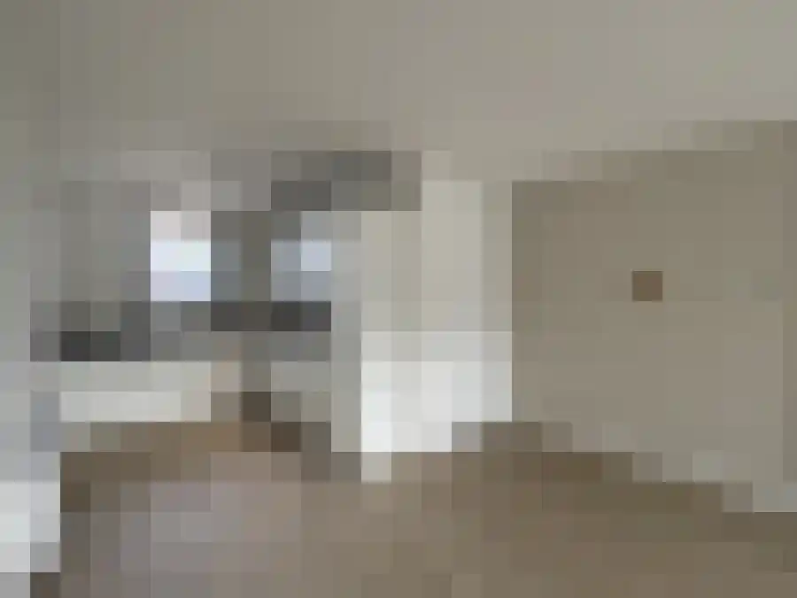 Oldenhuis 5 Groenlo thumbnail 6