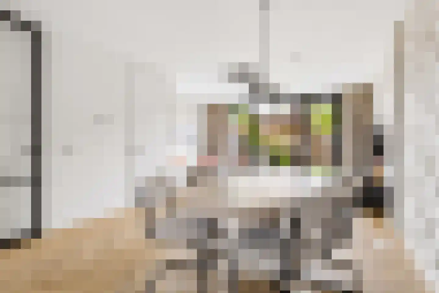 Oldenhuis 7 Groenlo thumbnail 15