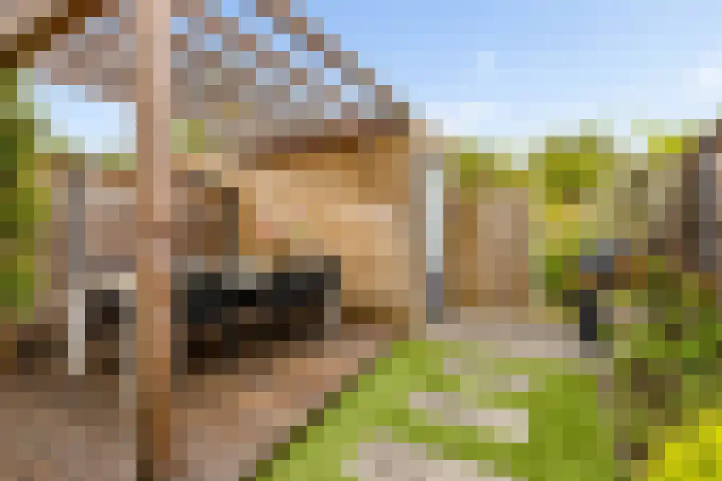 Oldenhuis 7 Groenlo thumbnail 41