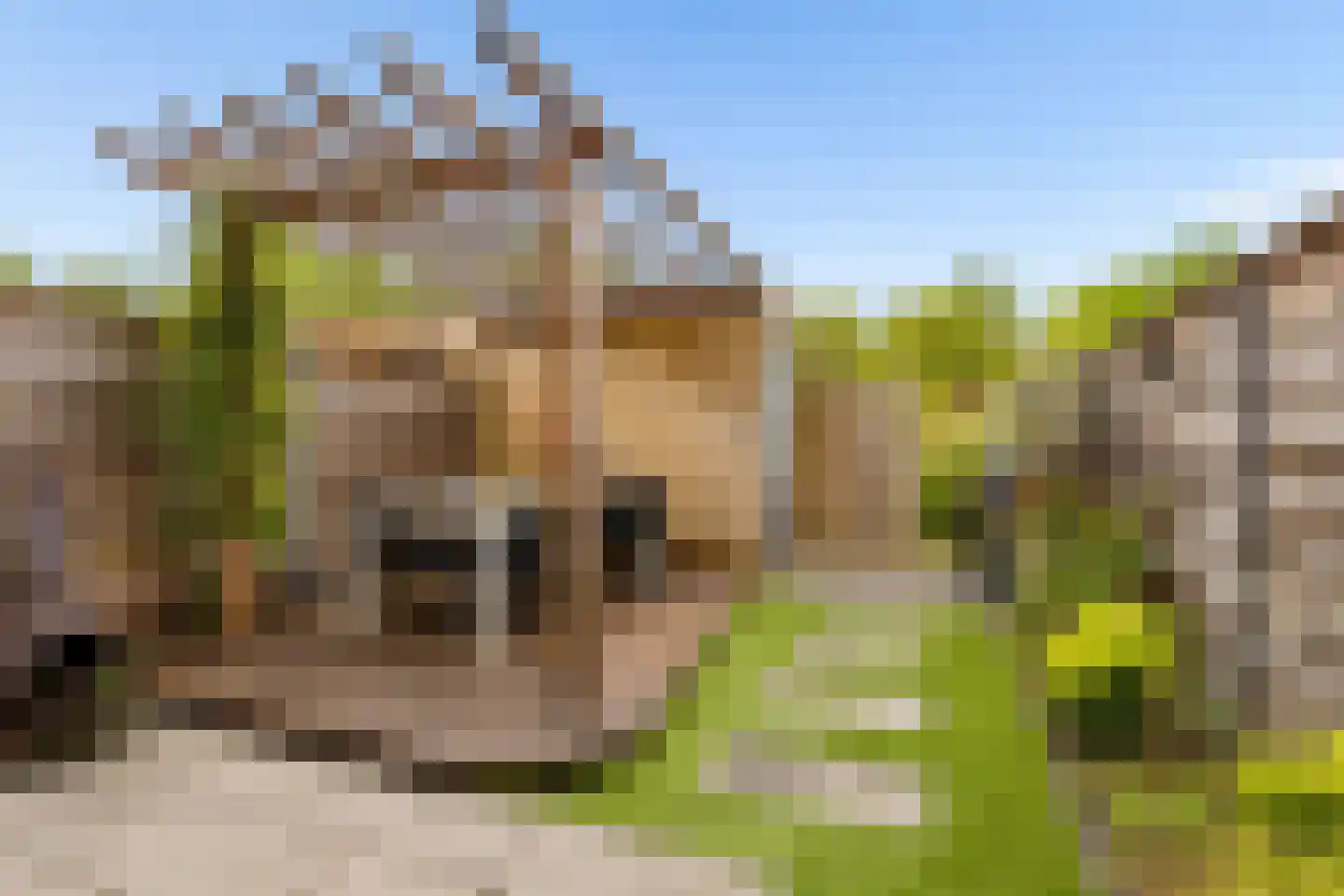 Oldenhuis 7 Groenlo thumbnail 43