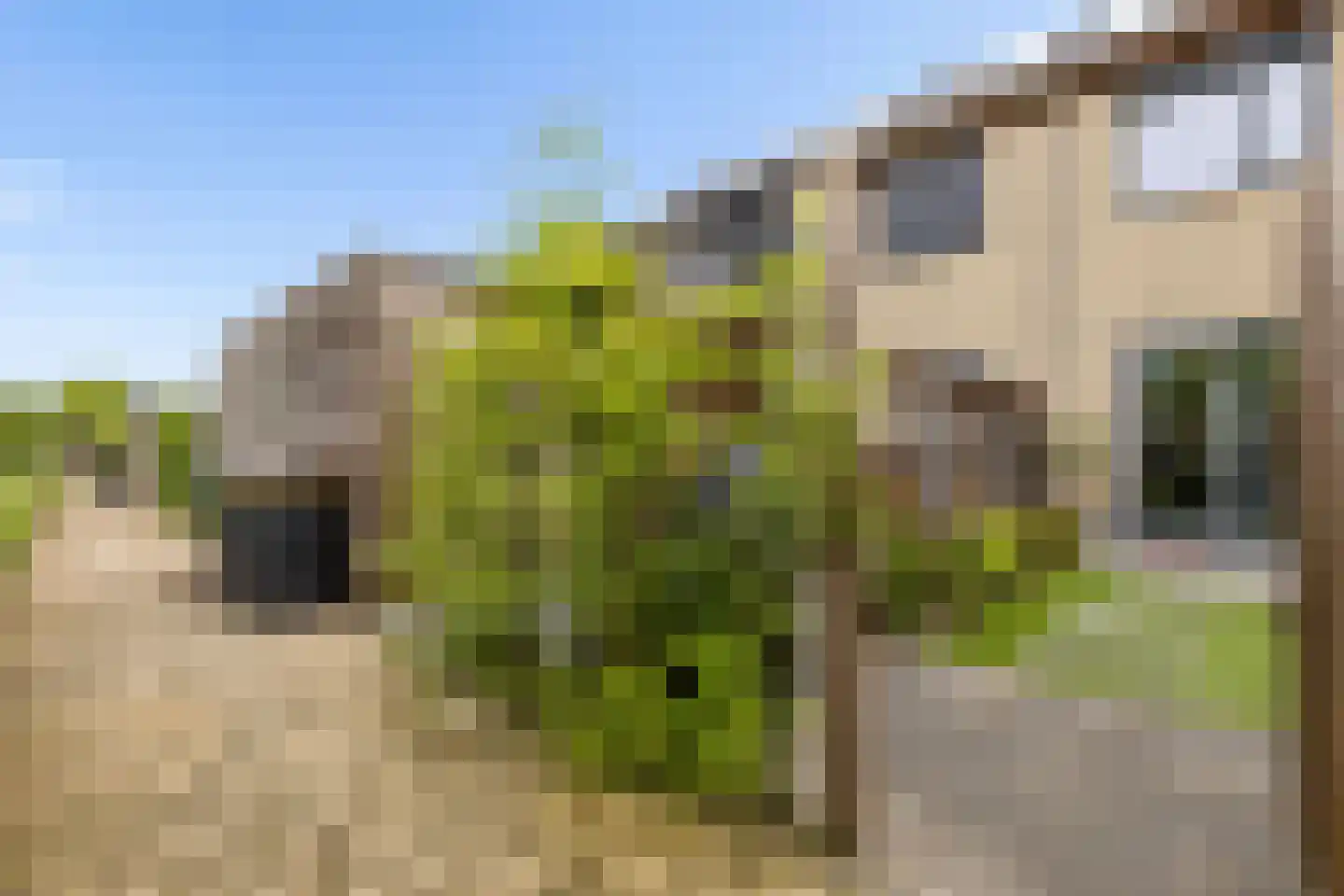 Oldenhuis 7 Groenlo thumbnail 49