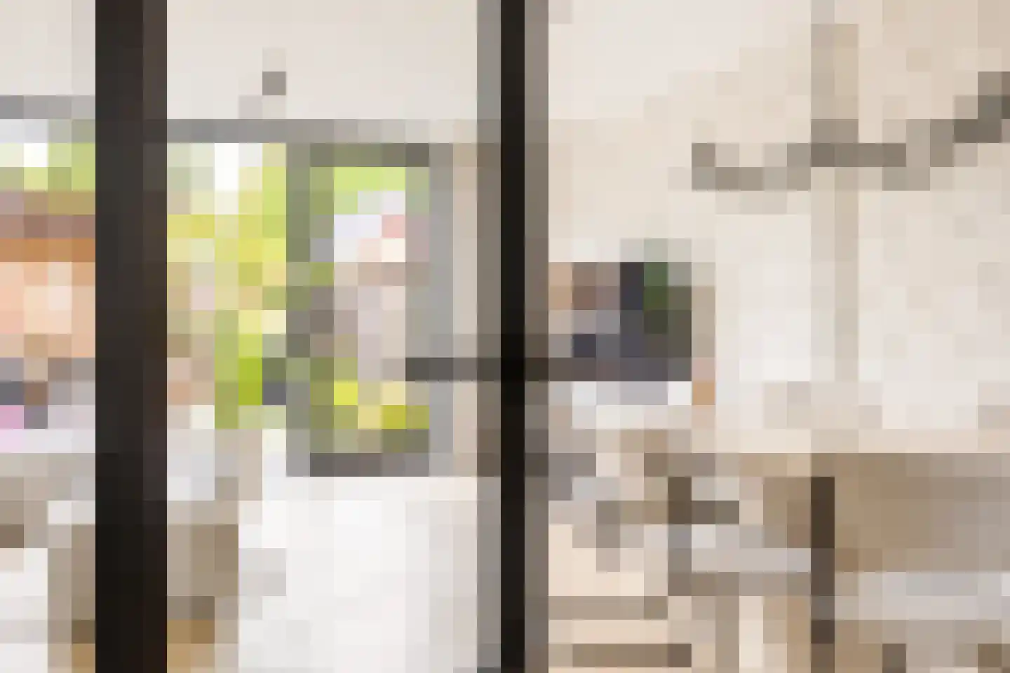 Oldenhuis 7 Groenlo thumbnail 5