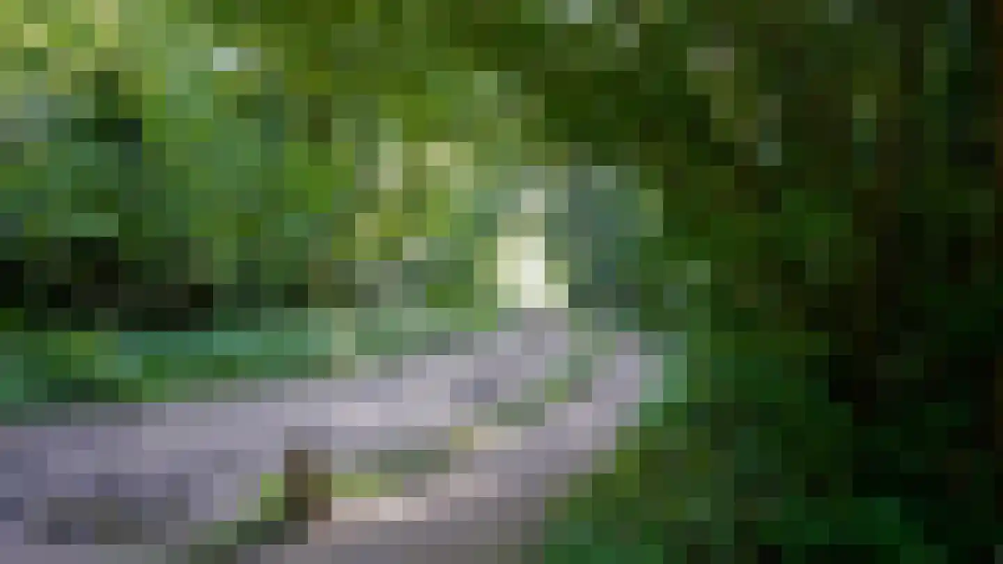 Oldenkotseweg 4 Rekken thumbnail 103