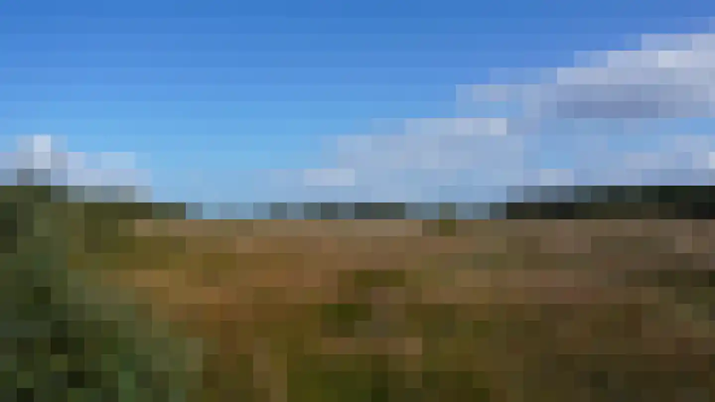 Oldenkotseweg 4 Rekken thumbnail 104