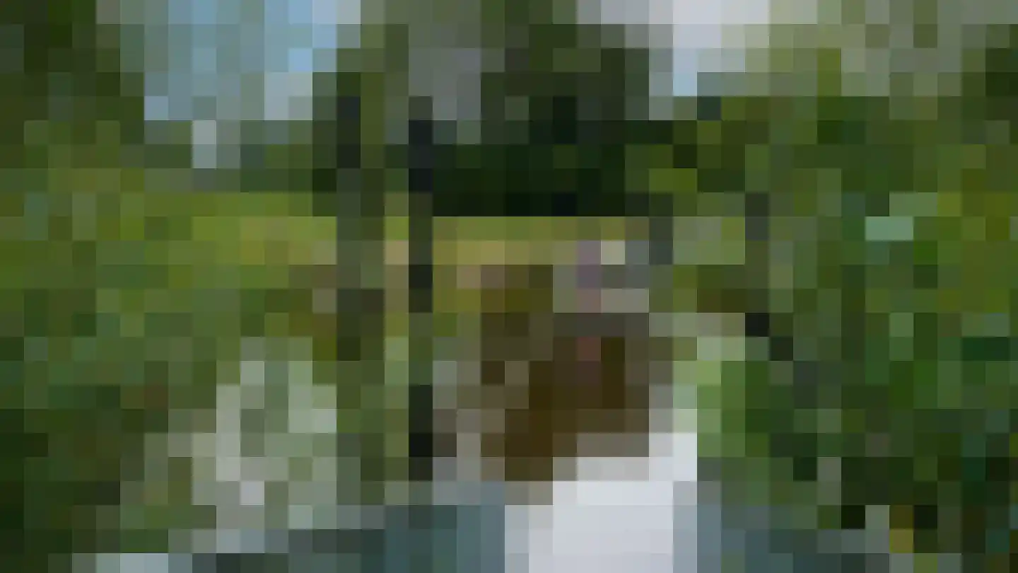Oldenkotseweg 4 Rekken thumbnail 106