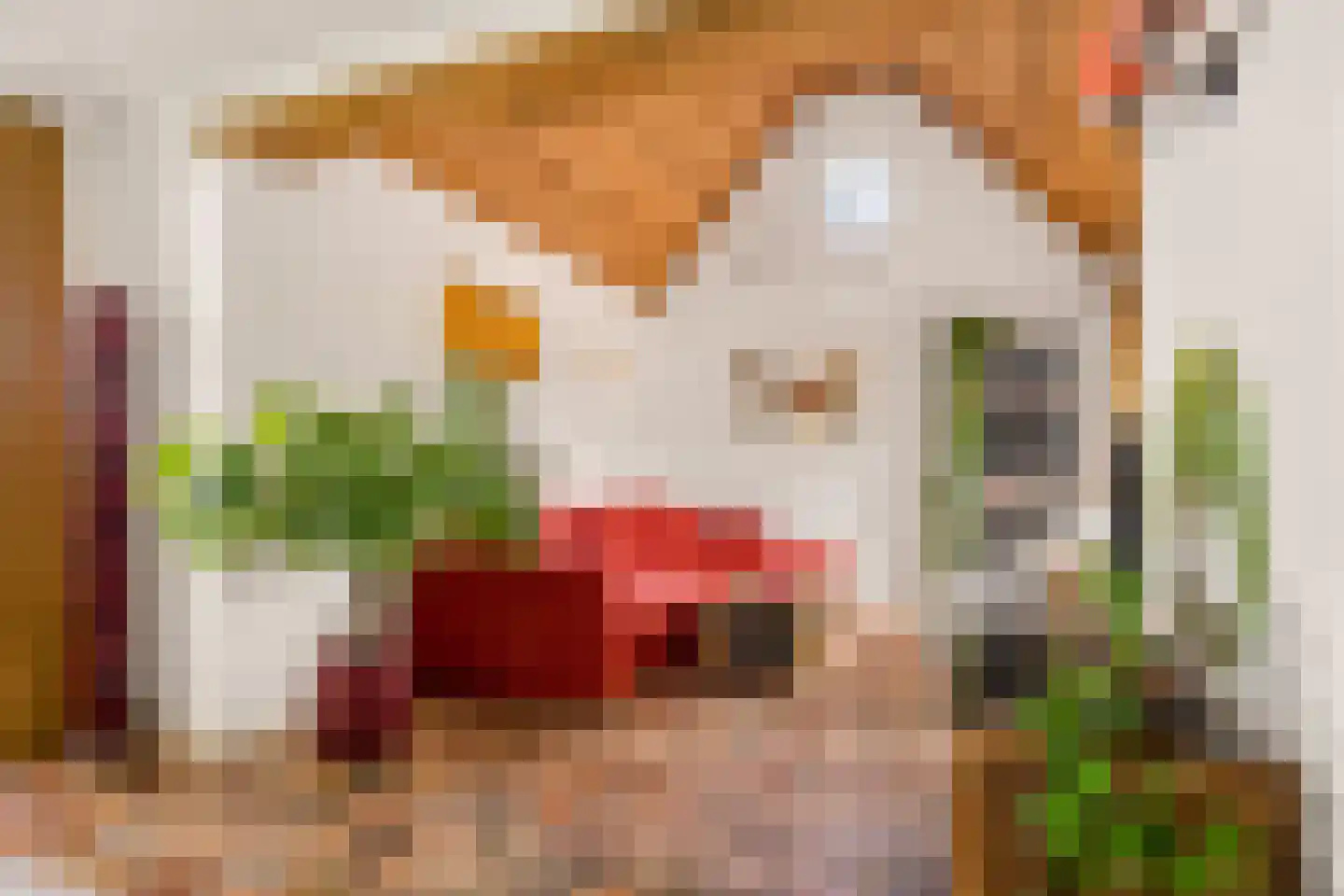 Oldenkotseweg 4 Rekken thumbnail 13