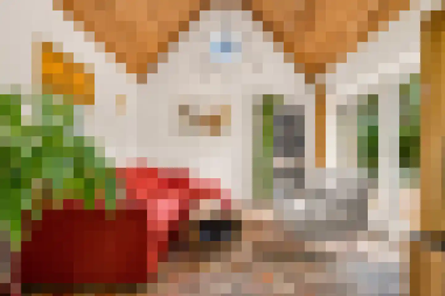 Oldenkotseweg 4 Rekken thumbnail 14