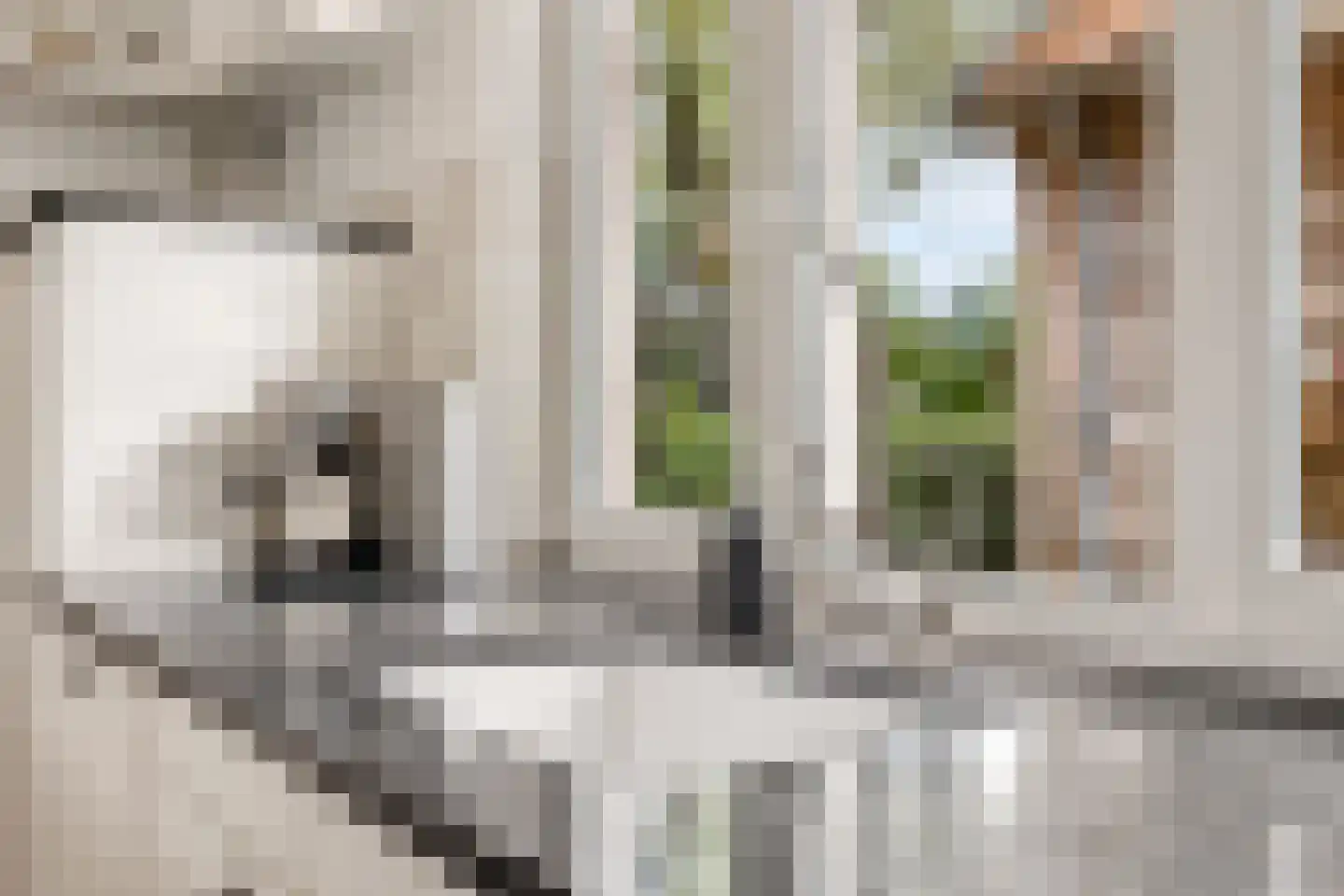 Oldenkotseweg 4 Rekken thumbnail 26