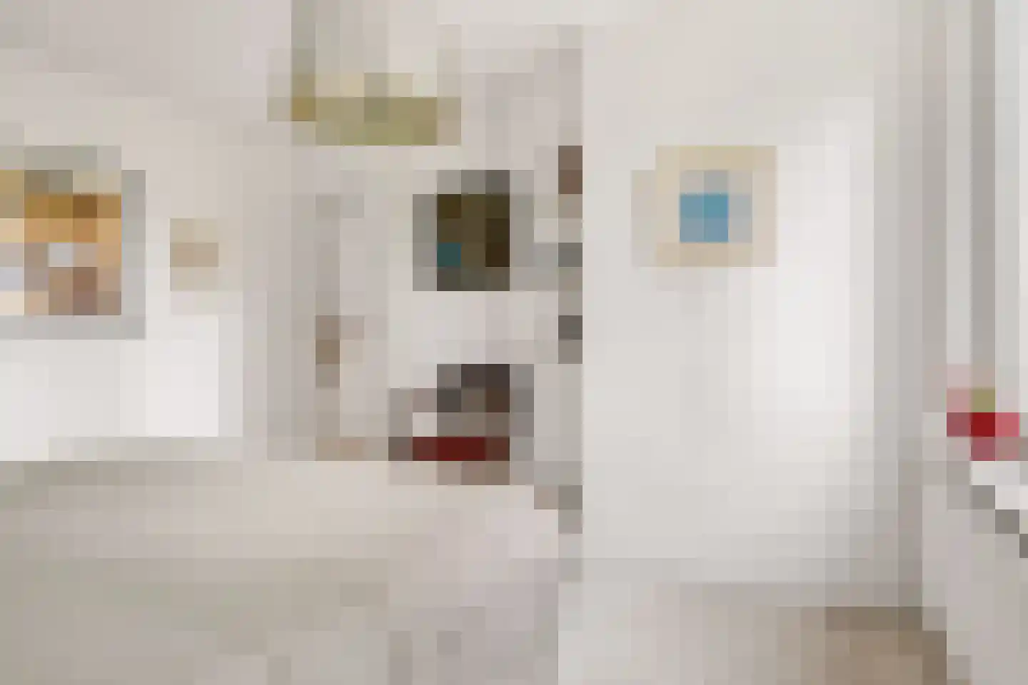 Oldenkotseweg 4 Rekken thumbnail 34