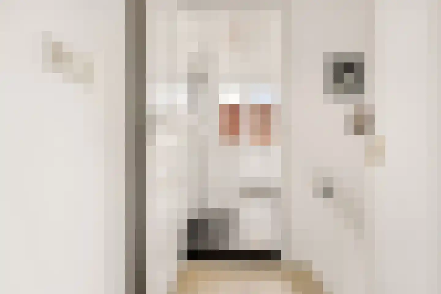 Oldenkotseweg 4 Rekken thumbnail 38