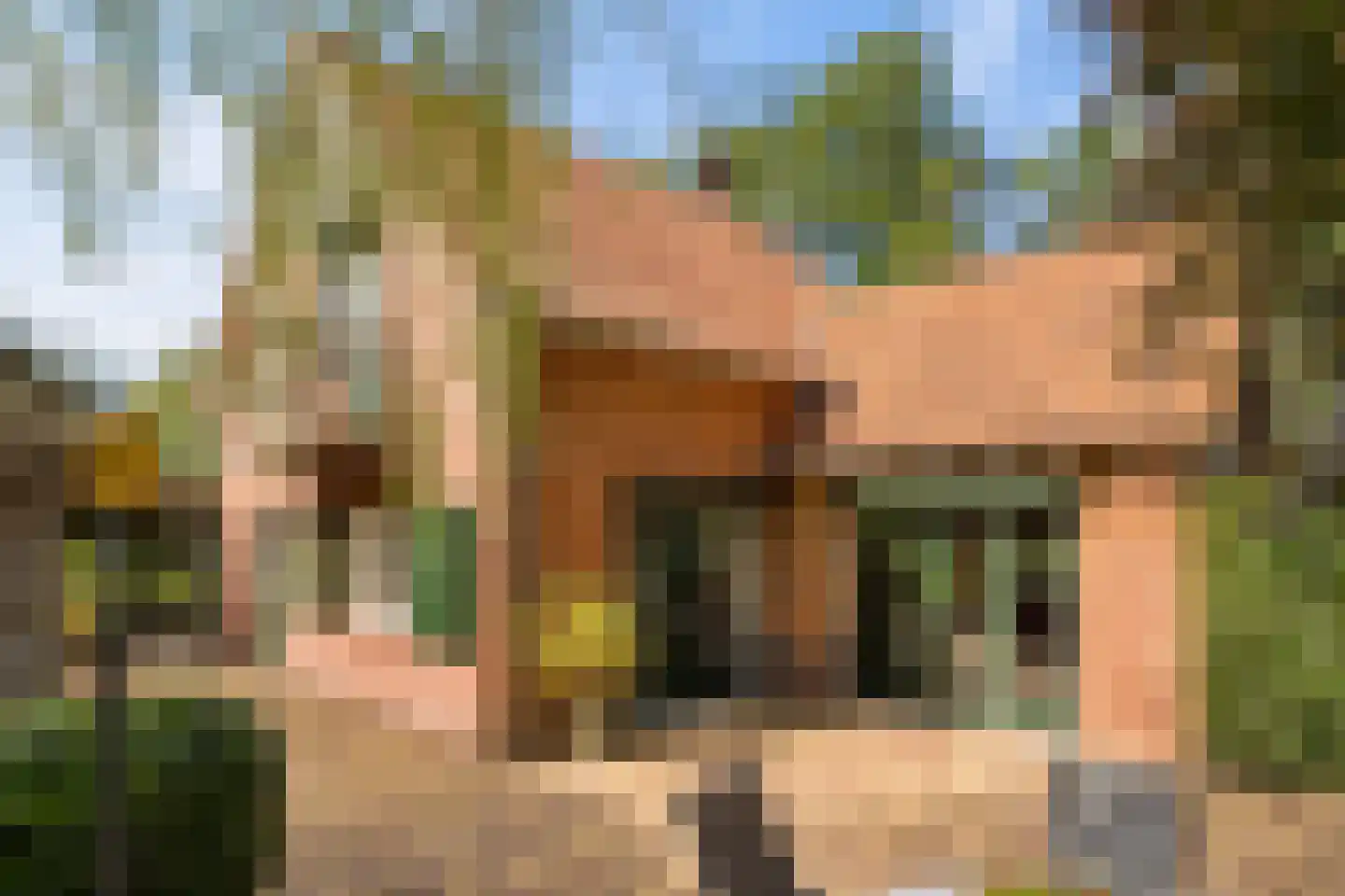 Oldenkotseweg 4 Rekken thumbnail 44