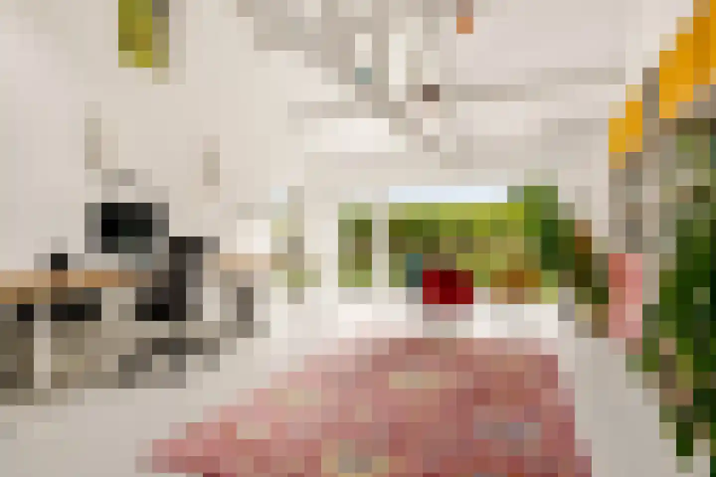 Oldenkotseweg 4 Rekken thumbnail 46