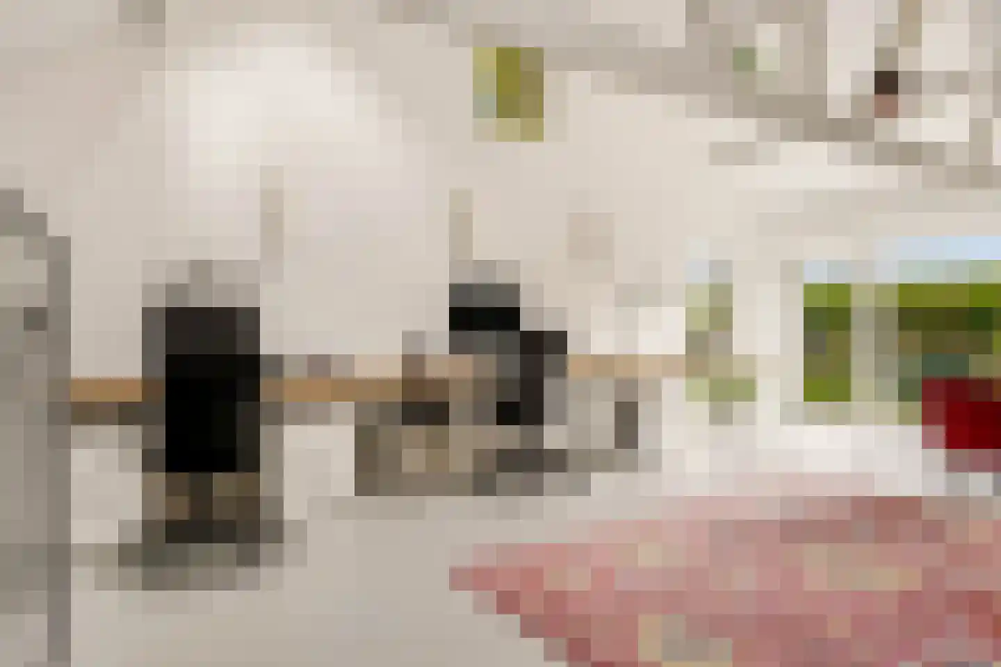 Oldenkotseweg 4 Rekken thumbnail 47