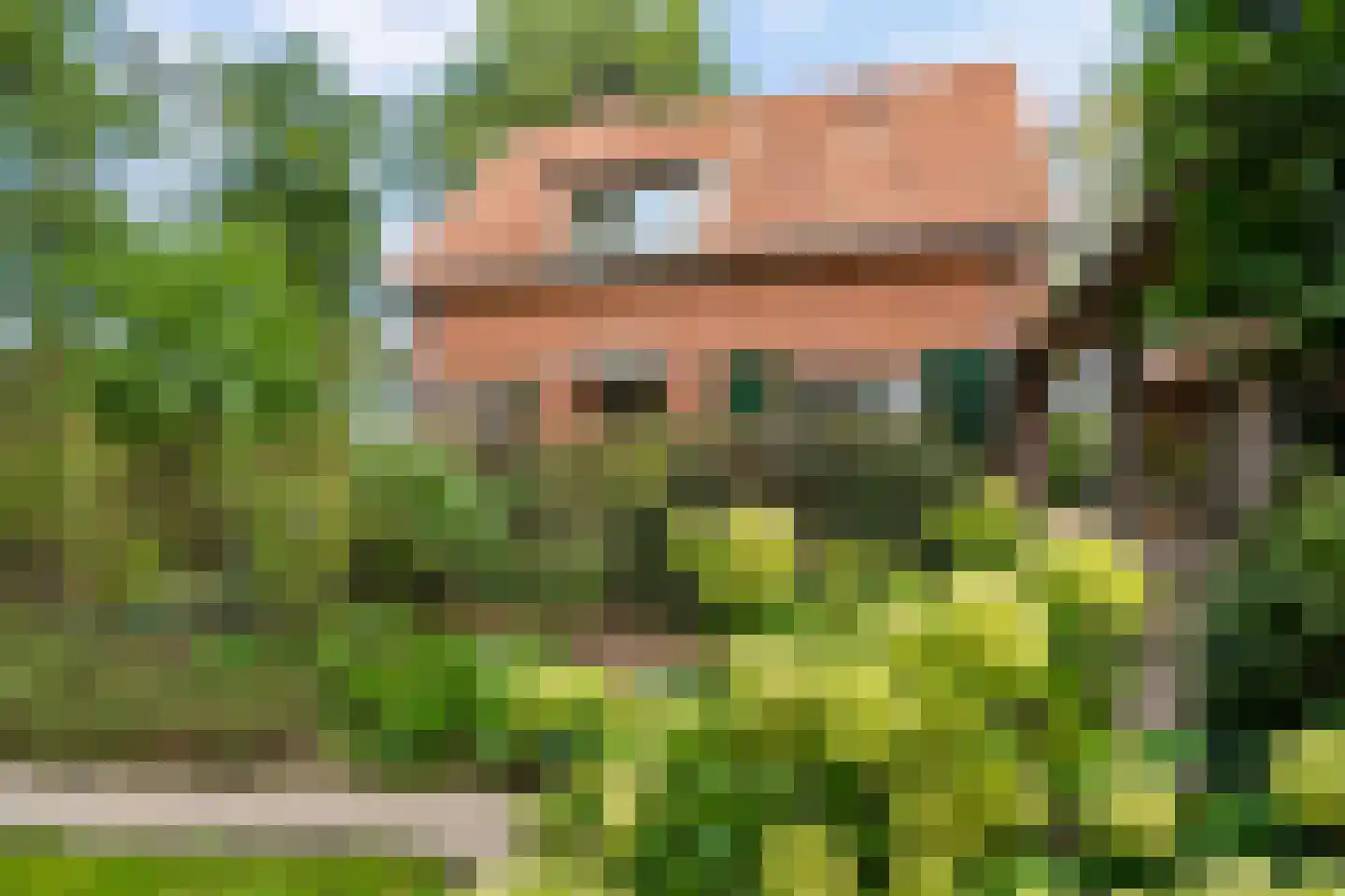 Oldenkotseweg 4 Rekken thumbnail 5