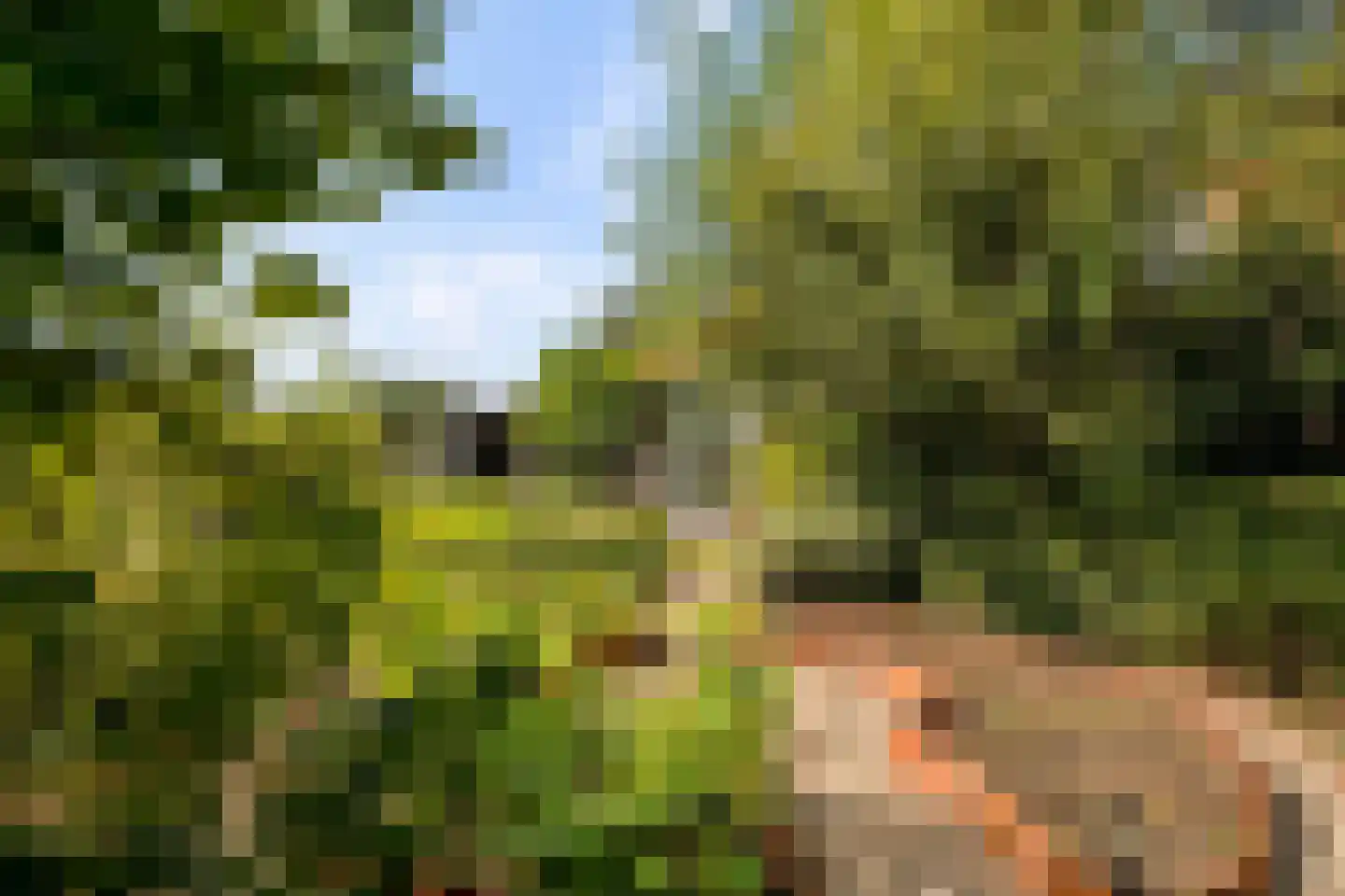 Oldenkotseweg 4 Rekken thumbnail 53