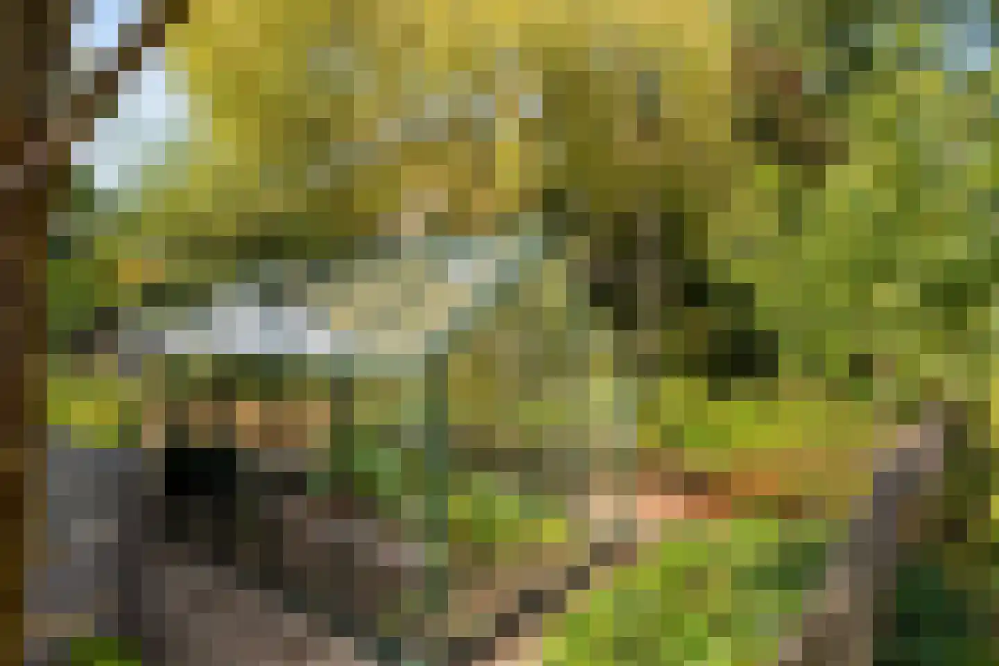 Oldenkotseweg 4 Rekken thumbnail 55